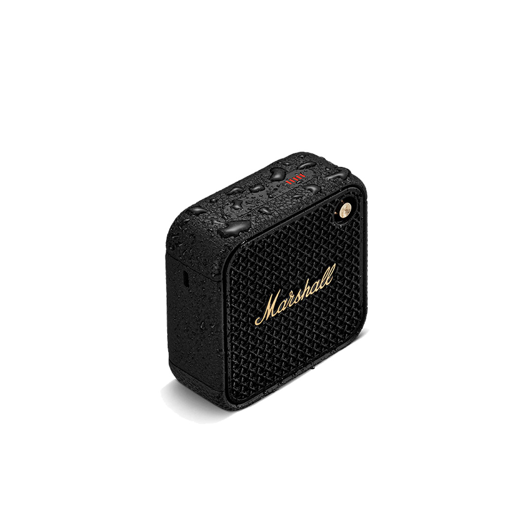 Marshall Willen II - Image 7
