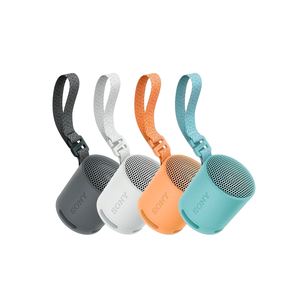 SONY XB100 Portable Wireless Speaker